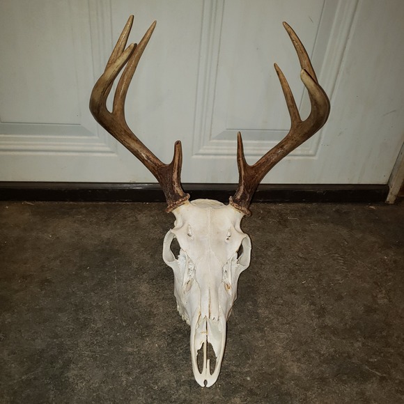 Meet your Posher, Jeff - Picture 1 of 1